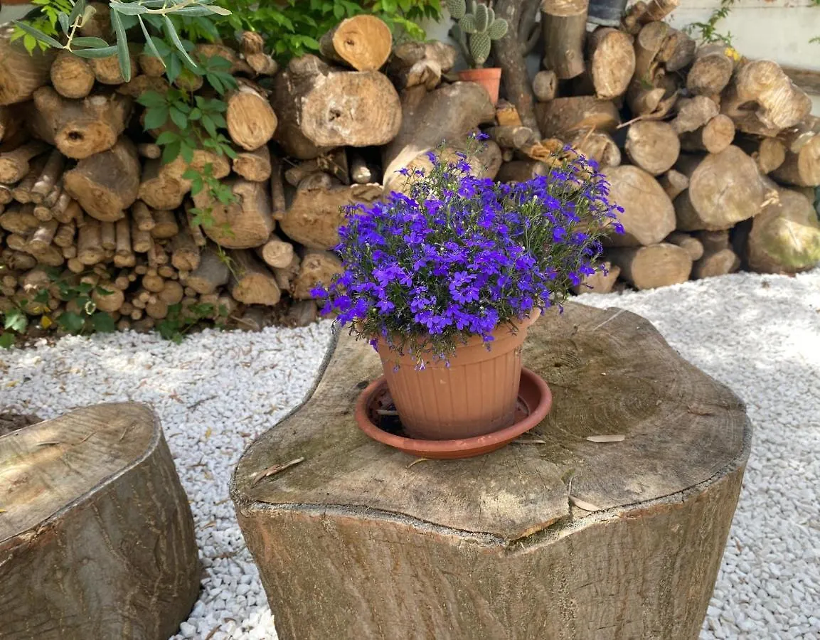 Il Giardino Di Bonagia Villa Tonnara di Bonagia Olaszország